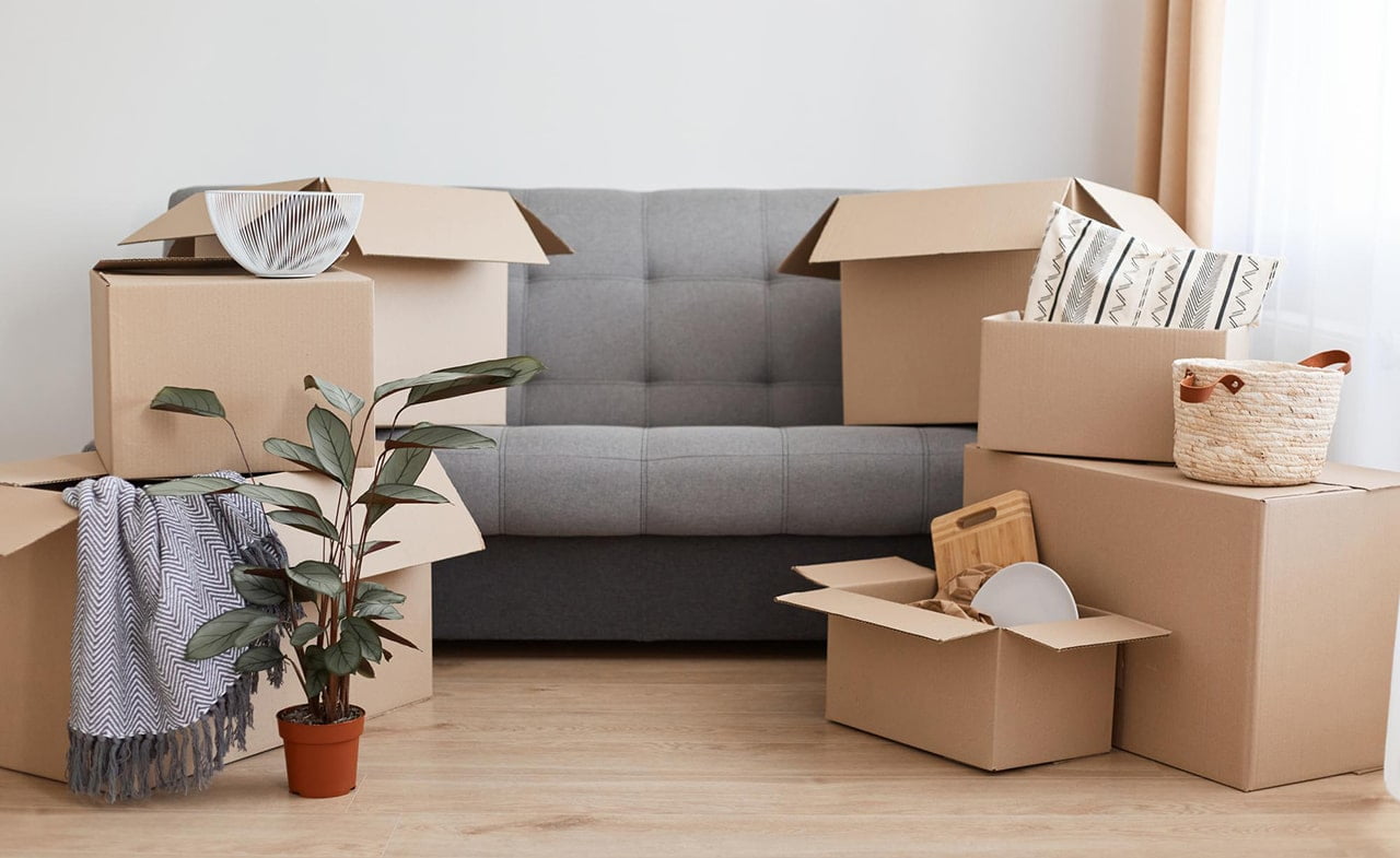 Move In/Out Cleaning